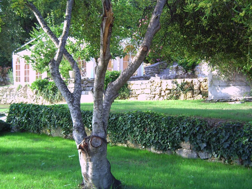 Domaine Du Mont Leuze Villa Villefranche-sur-Mer Eksteriør billede